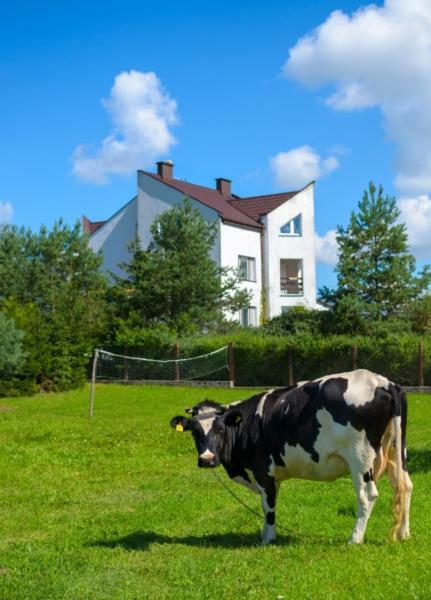 Gospodarstwo Agroturystyczne Jacwing Villa Giby Dış mekan fotoğraf